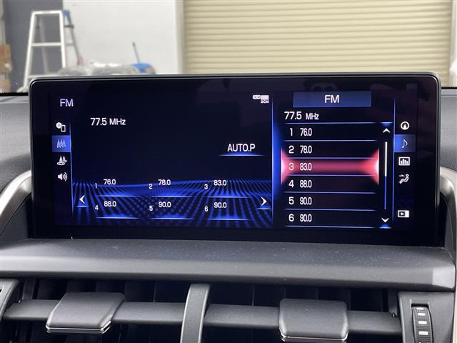 NX300 Fスポーツ 4WD