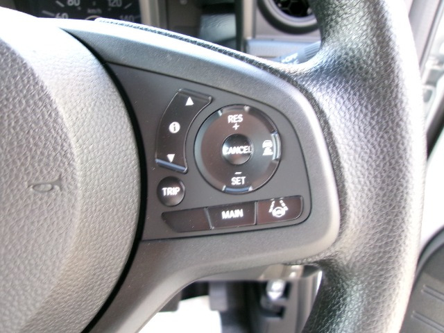 N-VANL