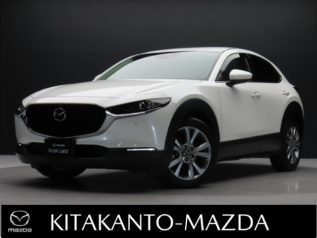 CX-301.8 XD Lパッケージ