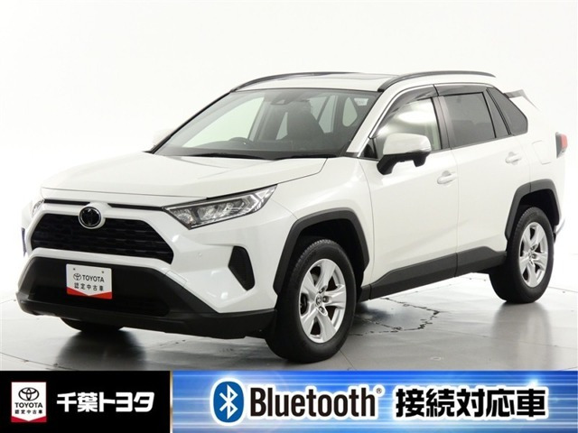 RAV42.0 X