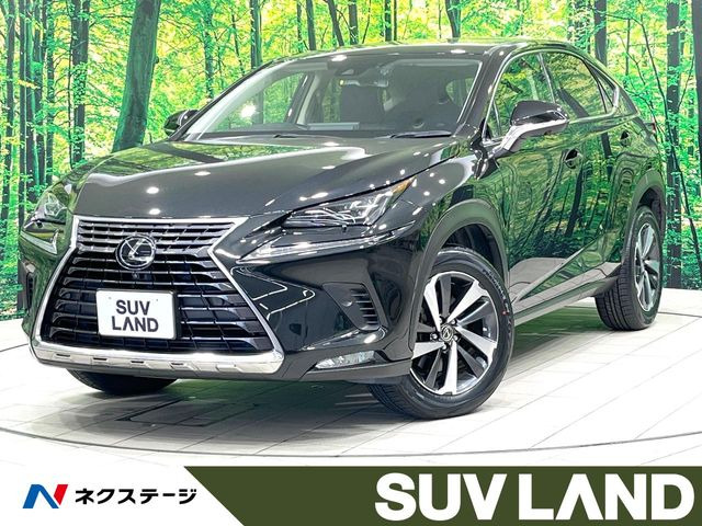 NX200t Iパッケージ