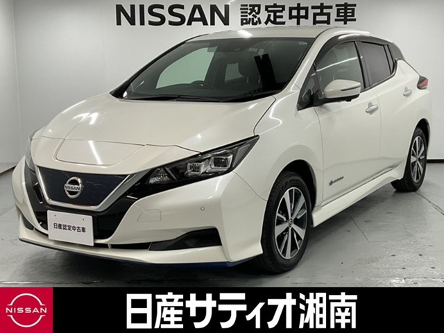 リーフe+ X