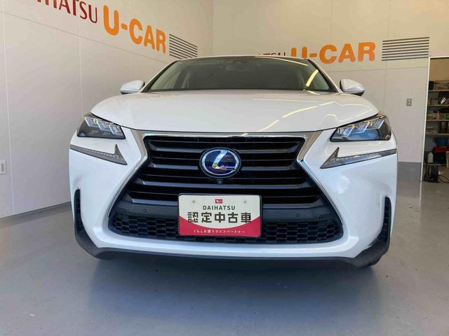 NX300h バージョンL