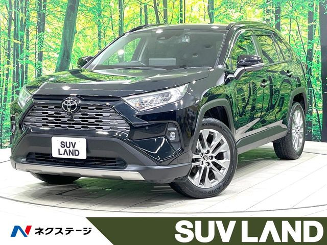 RAV42.0 G Zパッケージ 4WD