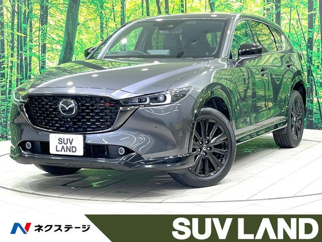 CX-5�i�}�c�_�j2.5 25S �X�|�[�c�A�s�A�����X ���Îԉ摜