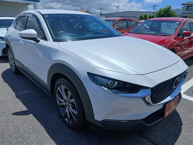 CX-302.0 X プロアクティブ ツーリングセレクション