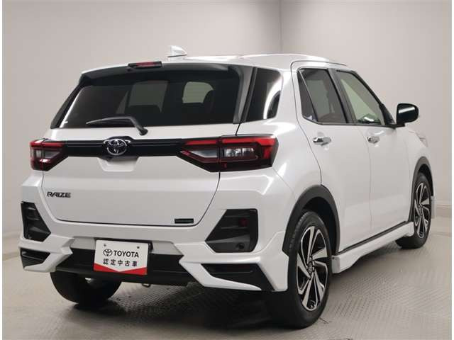 ライズ1.0 Z