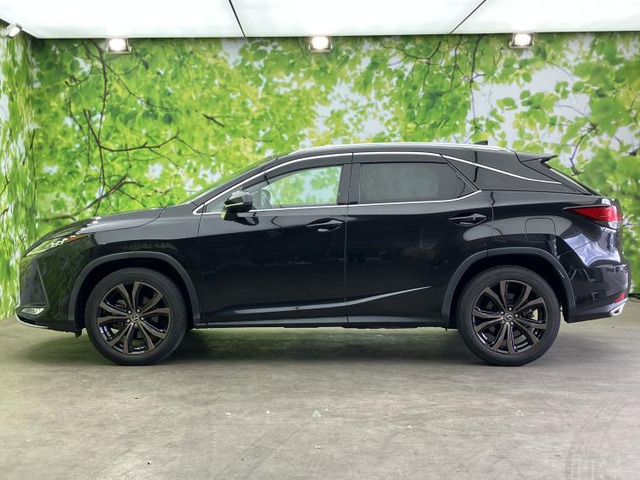 RX300 バージョンL