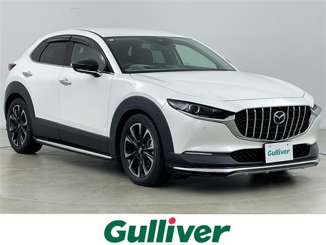 CX-301.8 XD Lパッケージ