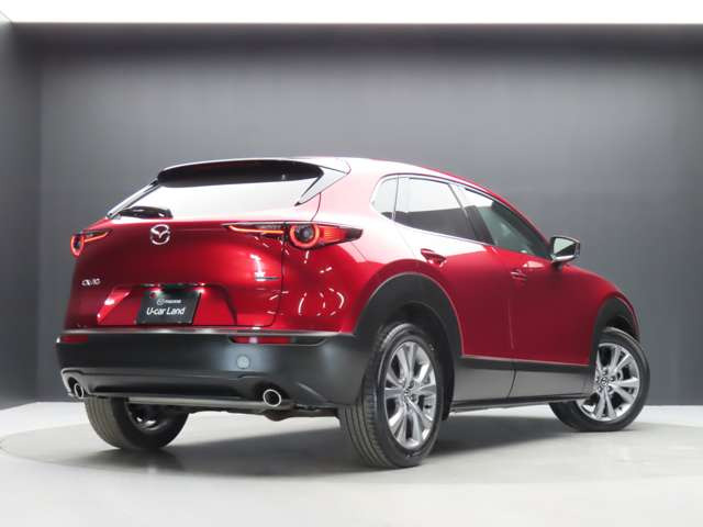 CX-301.8 XD Lパッケージ