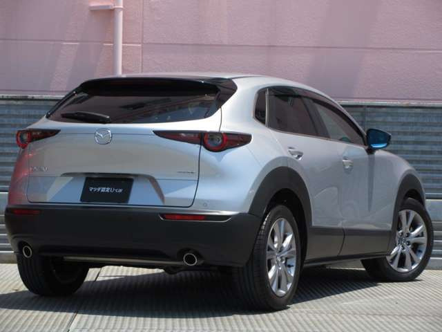 CX-302.0 20S