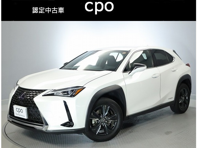 UX250h バージョンC