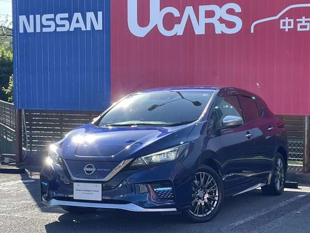 リーフe+ G