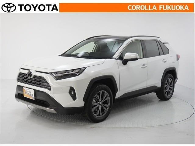 RAV42.5 ハイブリッド G E-Four 4WD