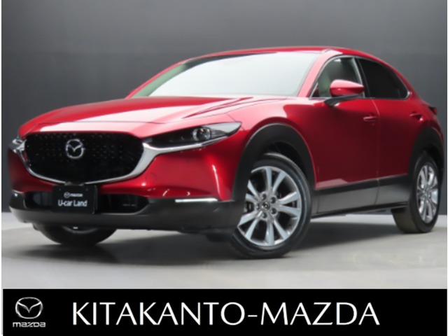 CX-301.8 XD Lパッケージ