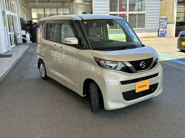 デイズルークスX