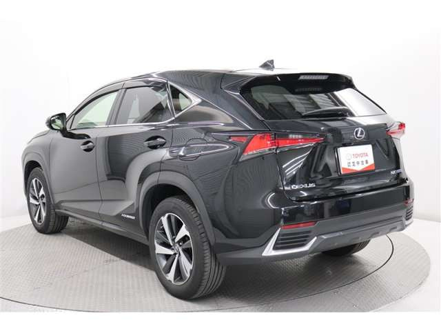 NX300h Iパッケージ