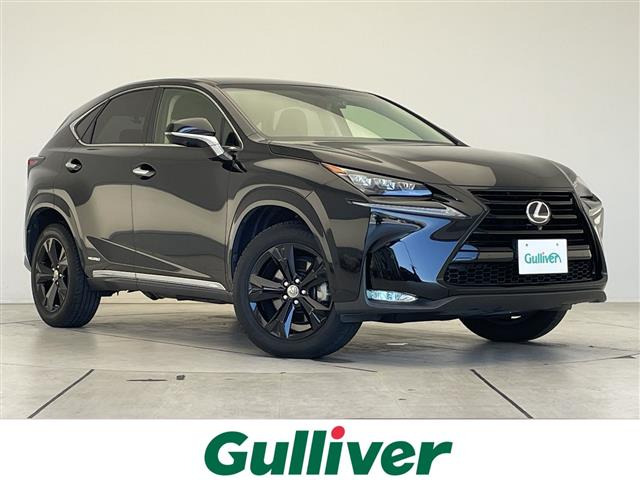 NX300h アーバンスタイル