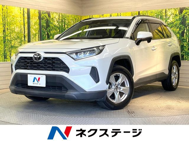 RAV42.0 X