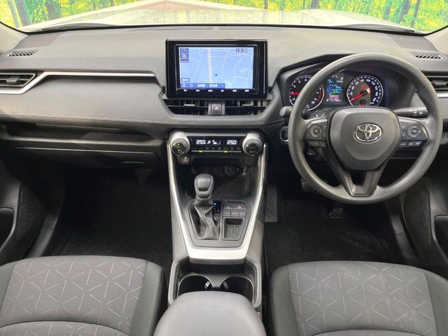RAV42.0 X