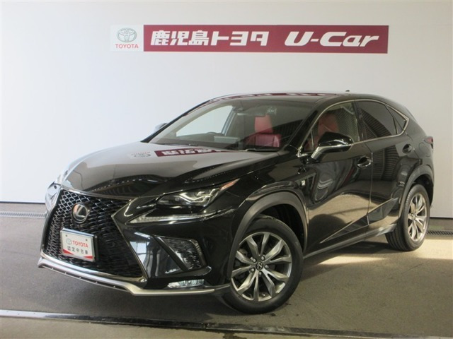 NX300 Fスポーツ