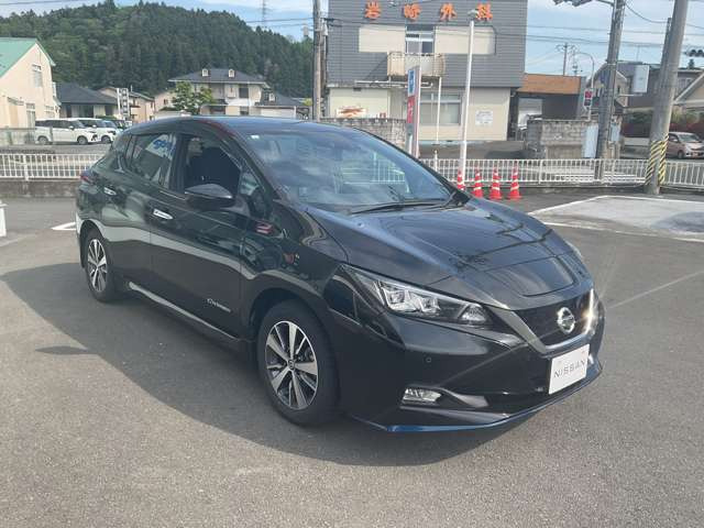 リーフe+ X
