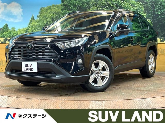 RAV42.0 X