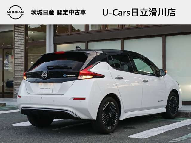 リーフe+ G