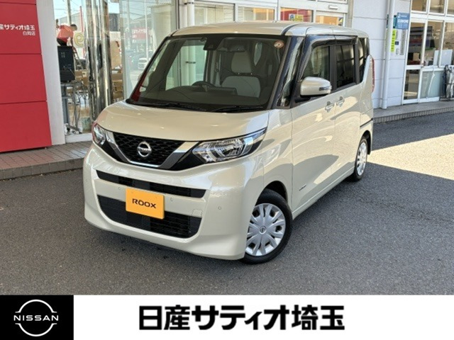 デイズルークスX