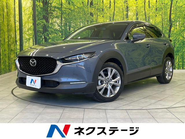 CX-30(�}�c�_) 2.0 20S �v���A�N�e�B�u �c�[�����O�Z���N�V���� ���Îԉ摜