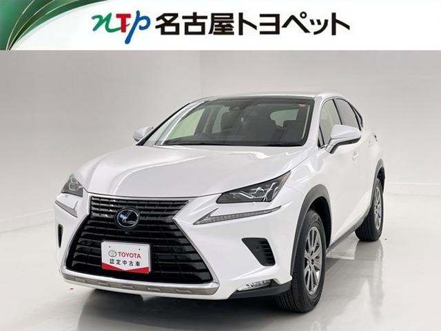 NX300h Iパッケージ