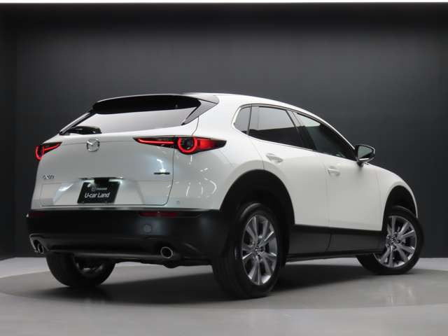 CX-302.0 20S プロアクティブ ツーリングセレクション