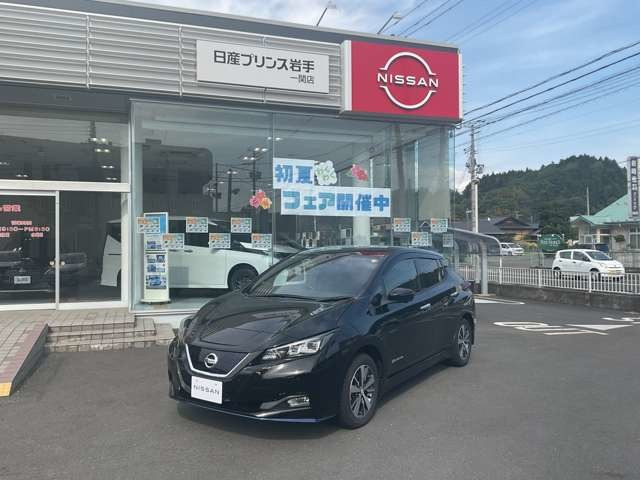 リーフe+ X