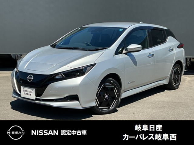 リーフe+ X