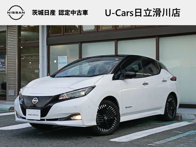 リーフe+ G