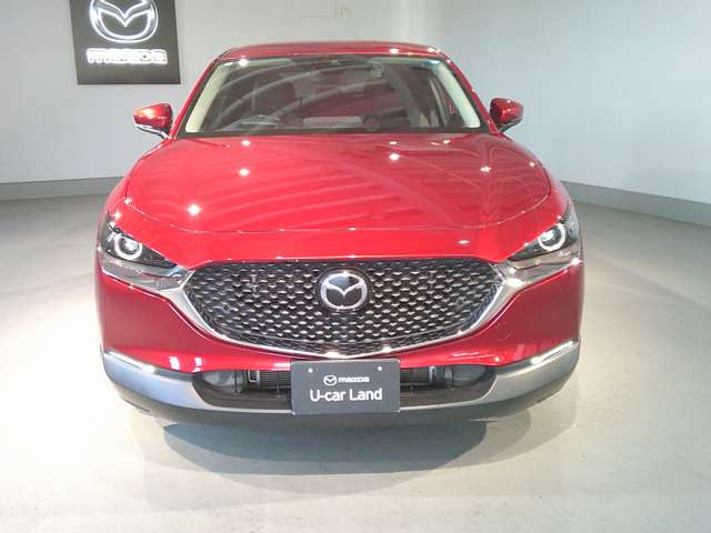 CX-302.0 20S