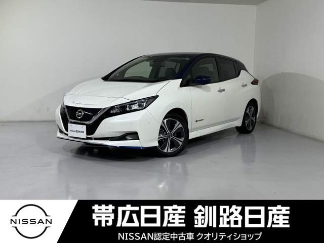 リーフe+ G