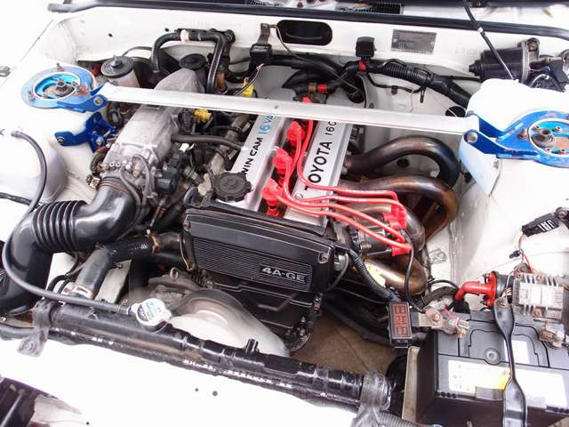 �ЊO�G�L�}�j/�N�X�R�O��^���[�o�[/HKS�G�A�N��/ULTRA�v���O�R�[�h/�N���A�K���X/RAZO�y�_��/�l�C�̃J���[�����r�����X�g�A�ԗ�