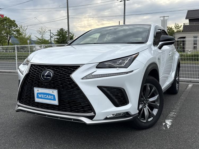 NX300h Fスポーツ