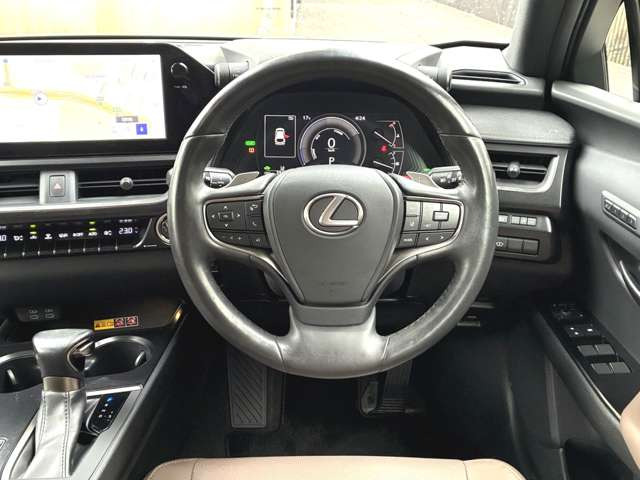 UX250h グレイスフル エクスプローラー