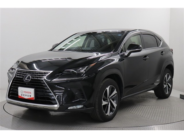 NX300h Iパッケージ