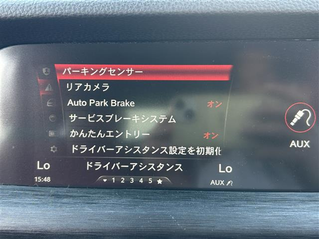 ステルヴィオ2.2 ターボ ディーゼル Q4 4WD