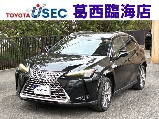 UX250h グレイスフル エクスプローラー
