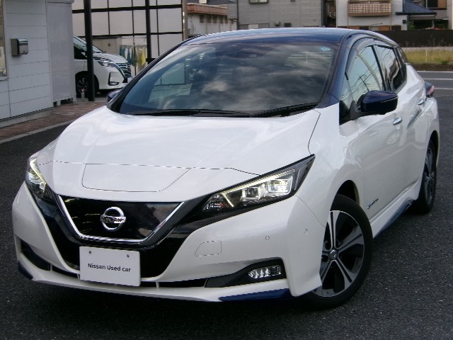 リーフG