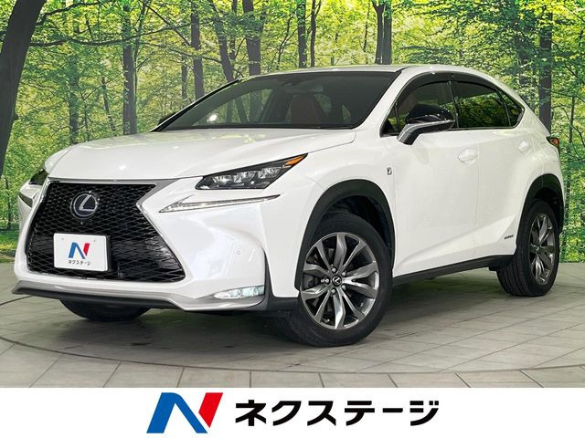 NX300h Fスポーツ