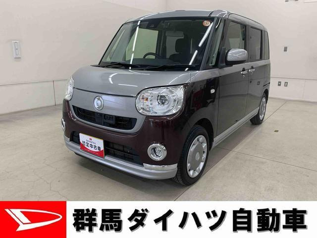 ムーヴキャンバスG メイクアップ SAII