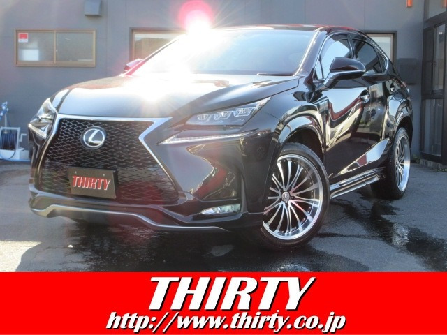 NX200t Iパッケージ 4WD