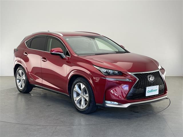 NX300h バージョンL