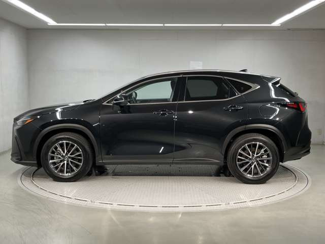 NX