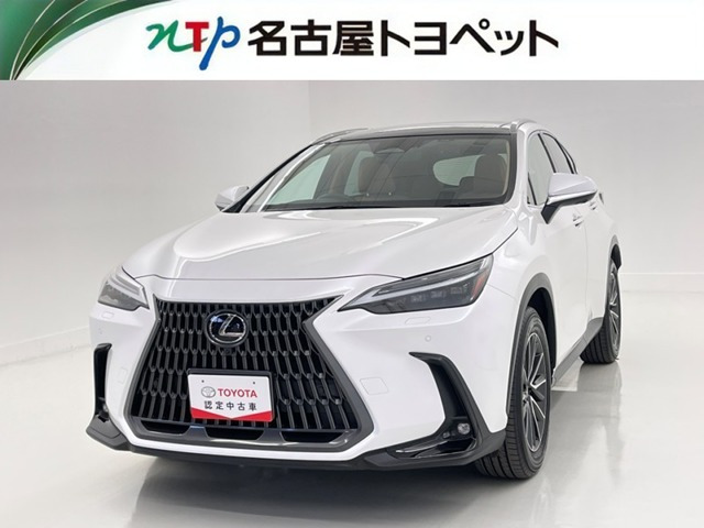 NX250 バージョンL